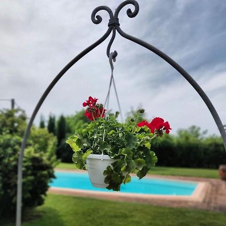 B&B Il Casolare Di Bonci Santa Maria a Monte Esterno foto
