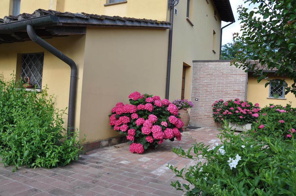 B&B Il Casolare Di Bonci Santa Maria a Monte Esterno foto
